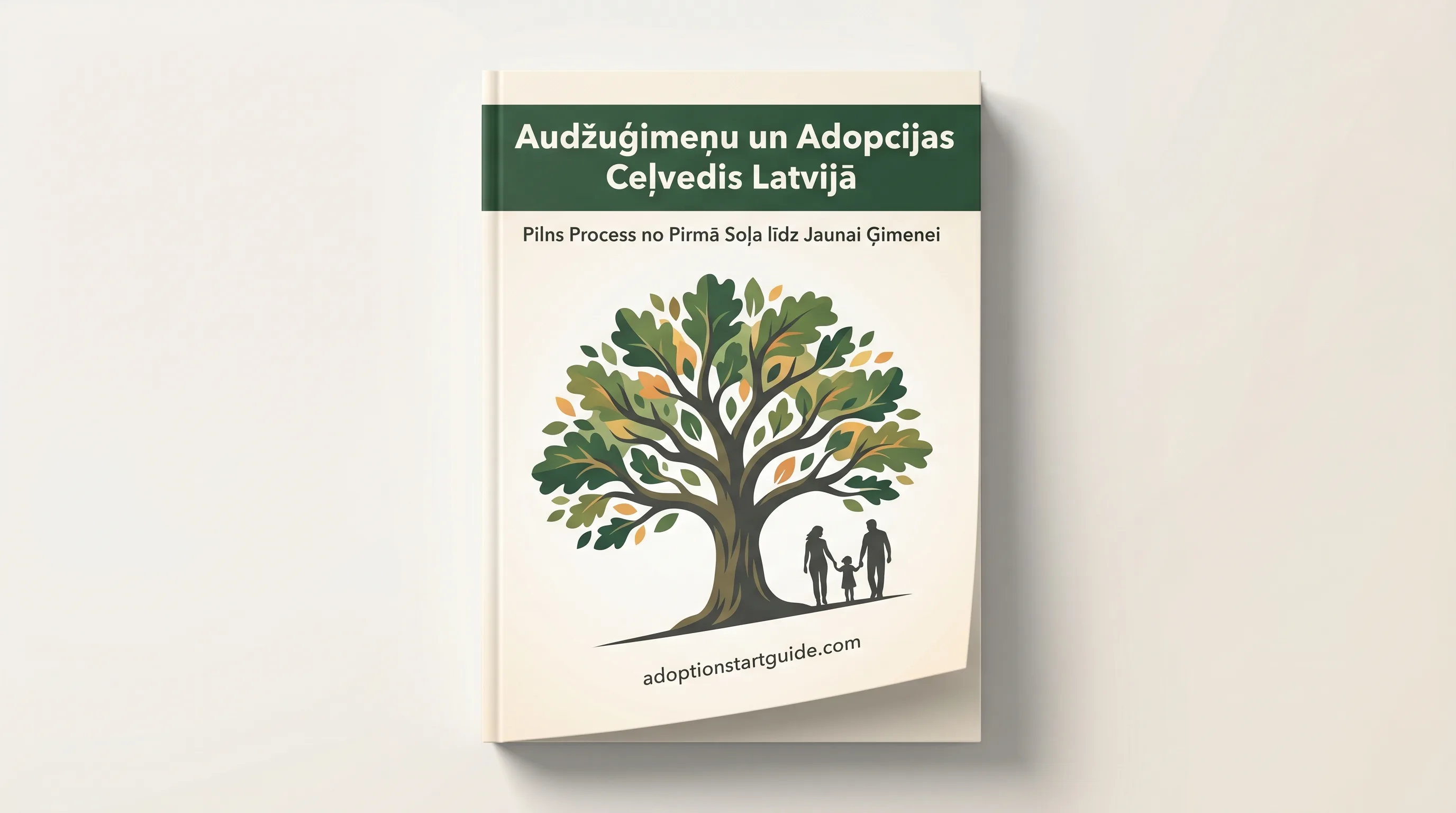 Audžuģimeņu un Adopcijas Ceļvedis Latvijā — Skaidrs Plāns no Pirmā Soļa