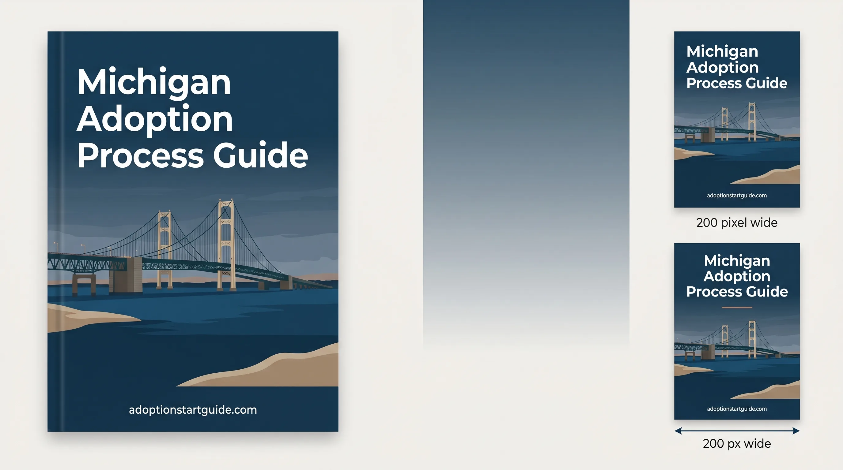 Michigan Adoption Guide — Master the Two-Court System and MCL 710